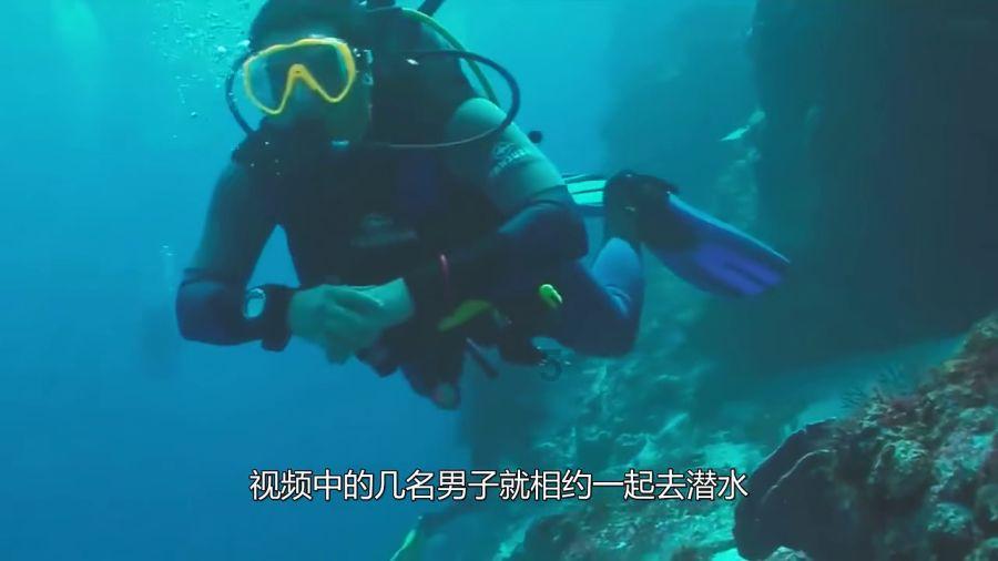 逗小猴开心系列164