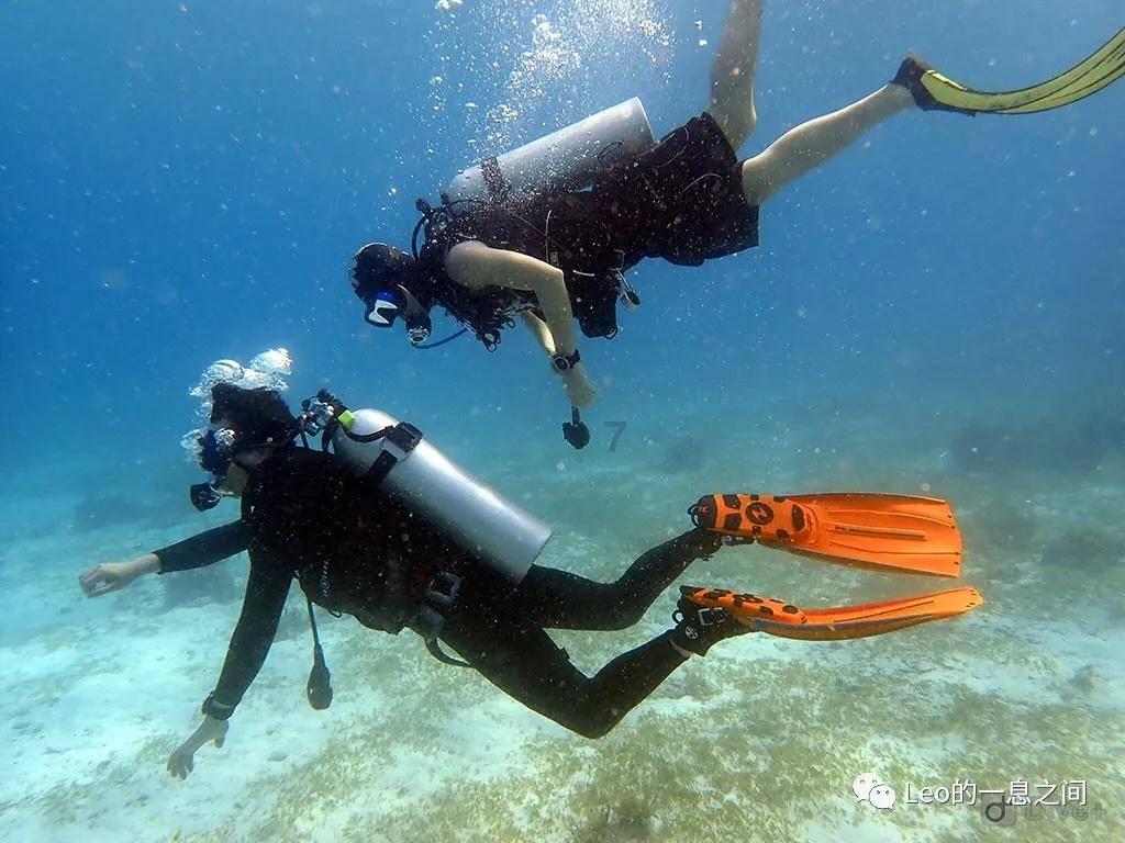 新中国22大电影明星：16人离世，仅6人在世，最大96岁，最小86岁