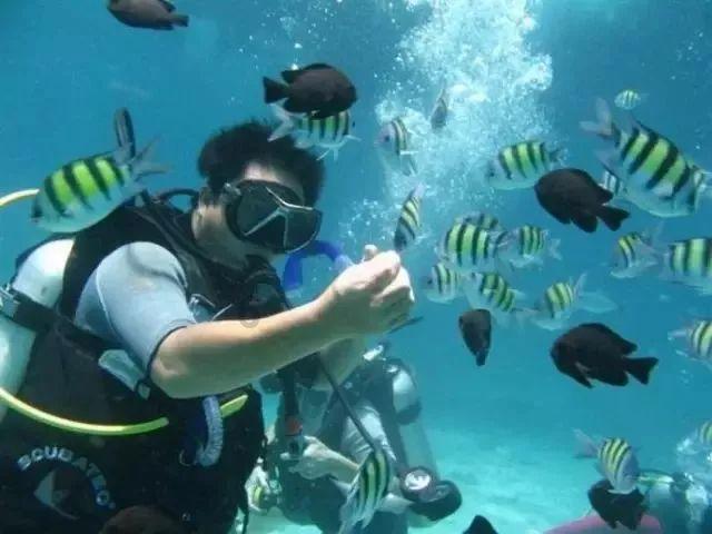 永恒之光