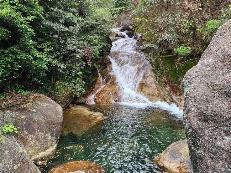 拯救红松鼠