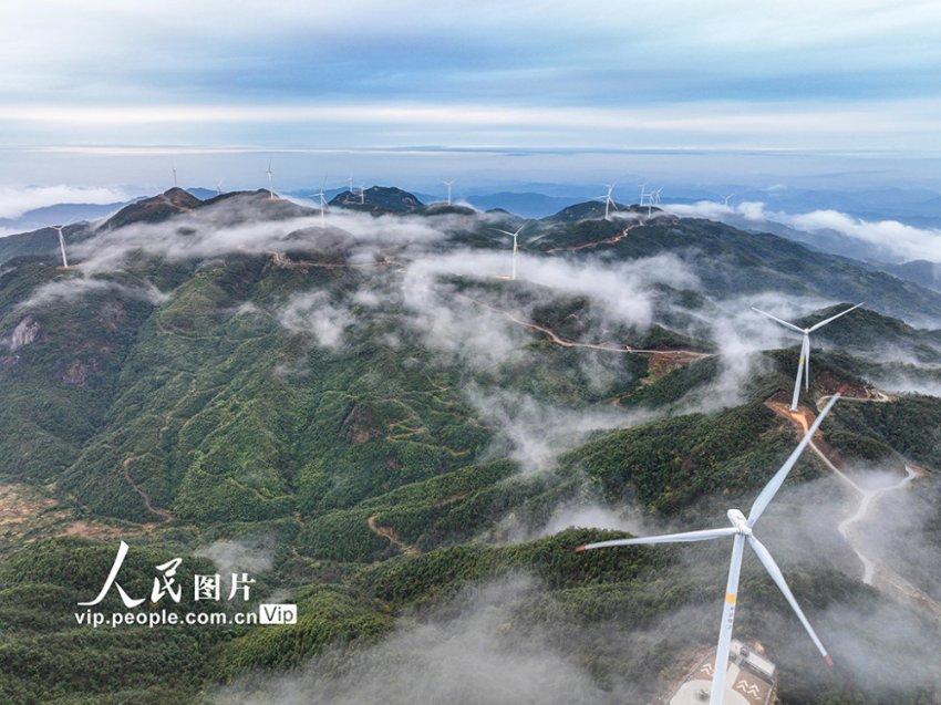 沂南这个村!发钱!