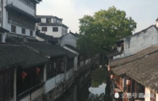 杨紫新剧《要久久爱》首播，看完3集，我连发感慨观众又捡到宝了